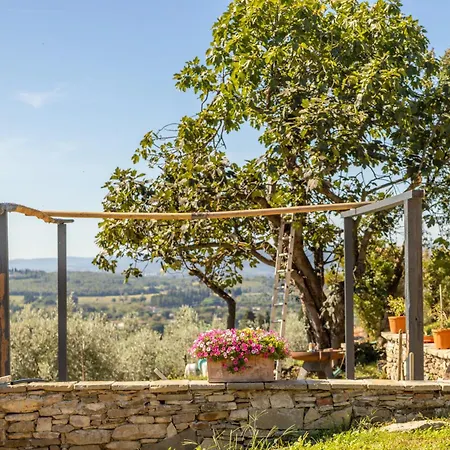 بيت ضيافة Fattoria Di Muciafora
