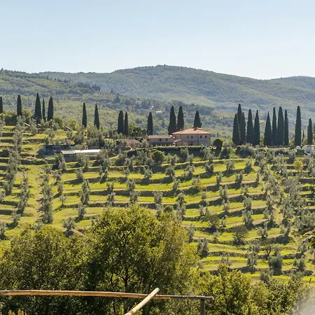 Fattoria Di Muciafora Chiassa Superiore
