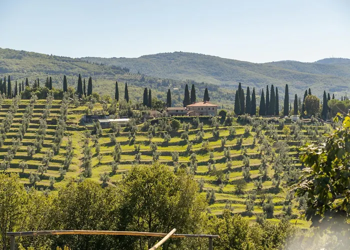 Fattoria Di Muciafora Chiassa Superiore